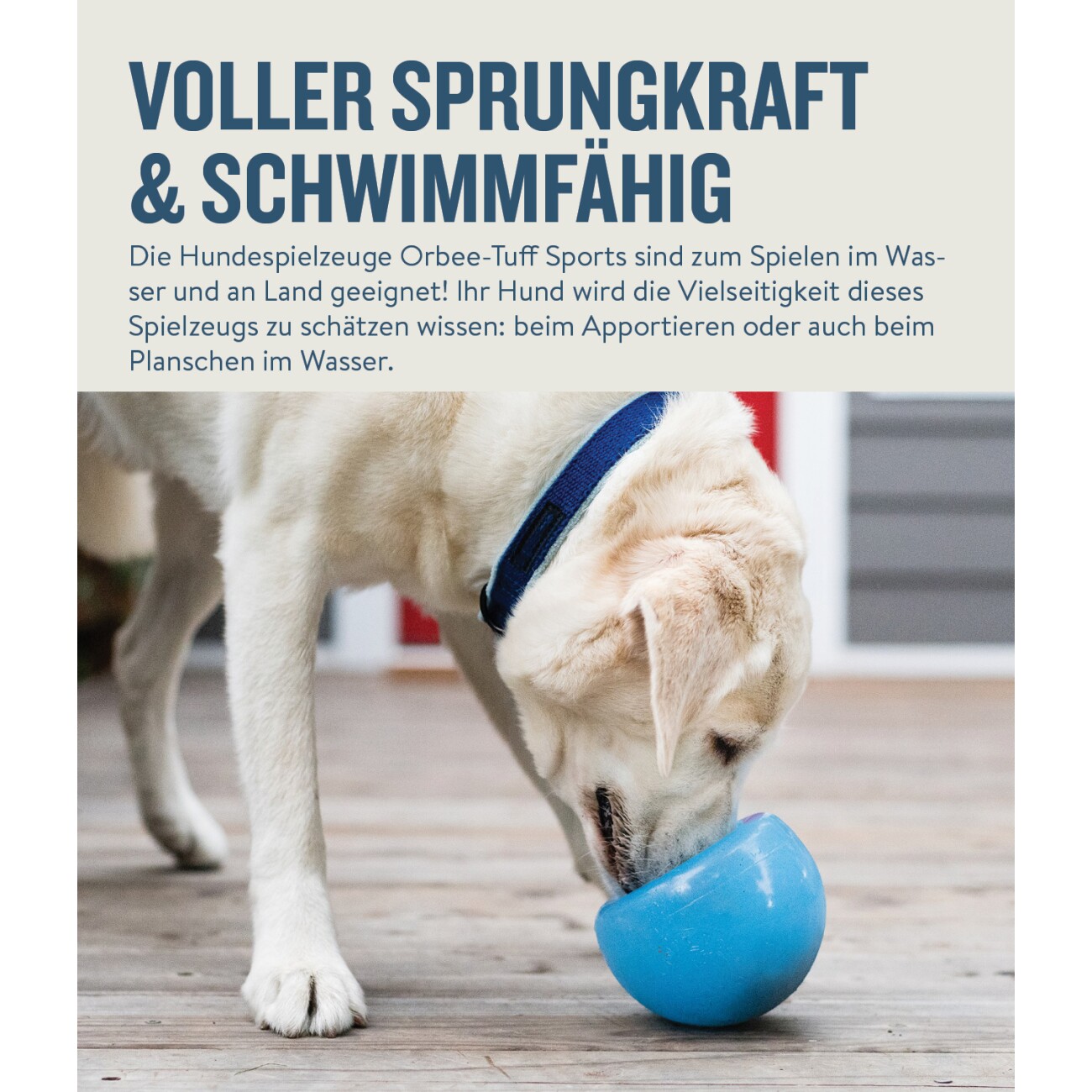 Planet Dog Snoop Hundespielzeug