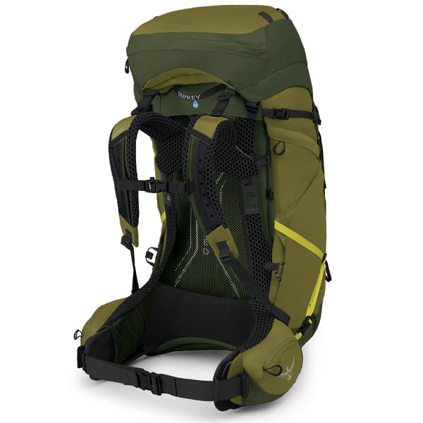 Sac à dos randonnée OSPREY ATMOS AG LT 65 SCENIC VALLEY/GREEN PEPPERCORN