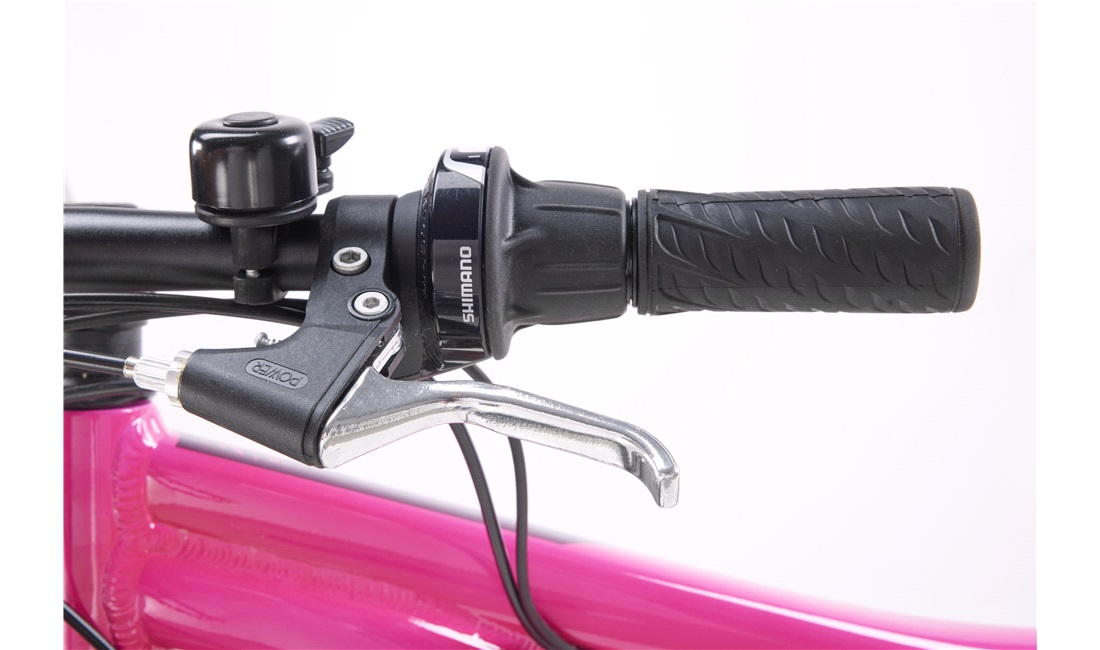 Mountainbike 2421 24