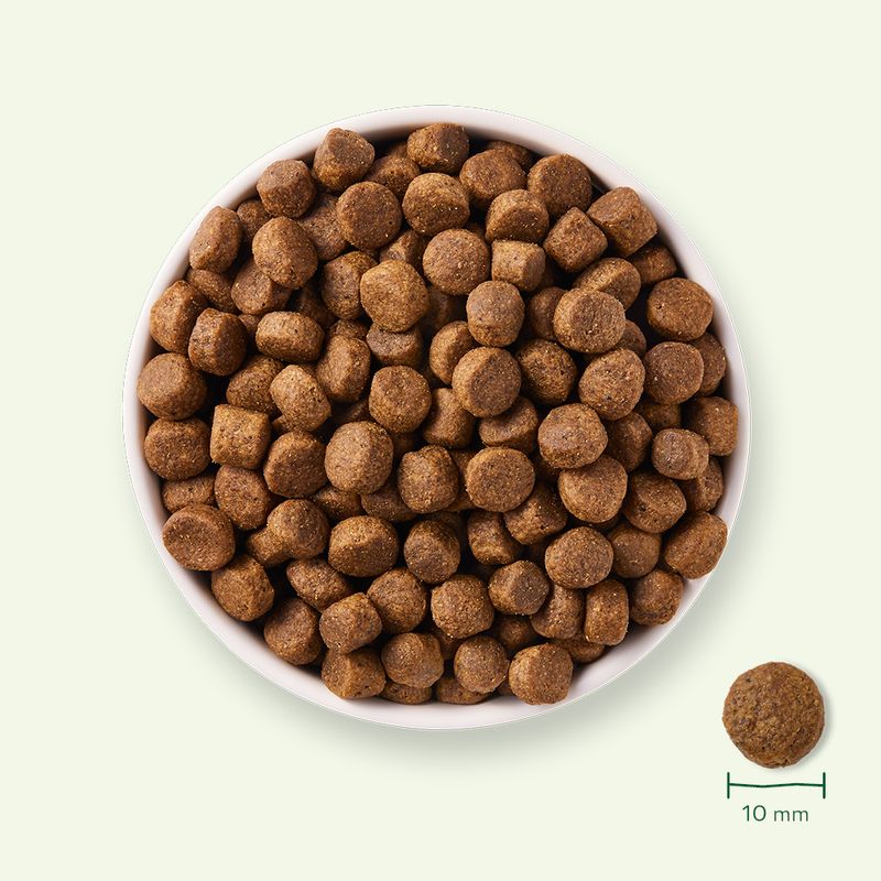 Yarrah Bio sans céréales, poulet bio