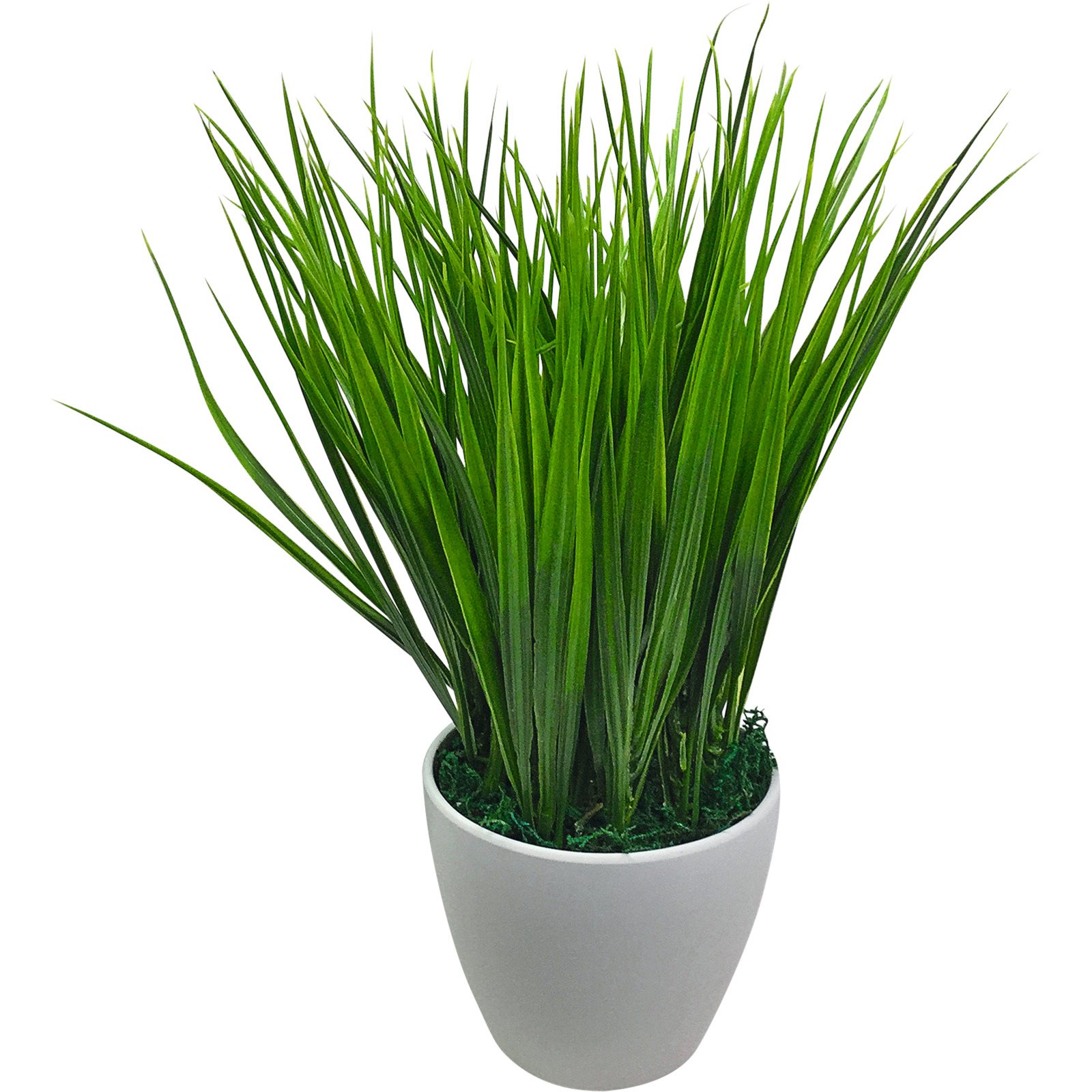 Grasbusch in Topf weiss 25cm