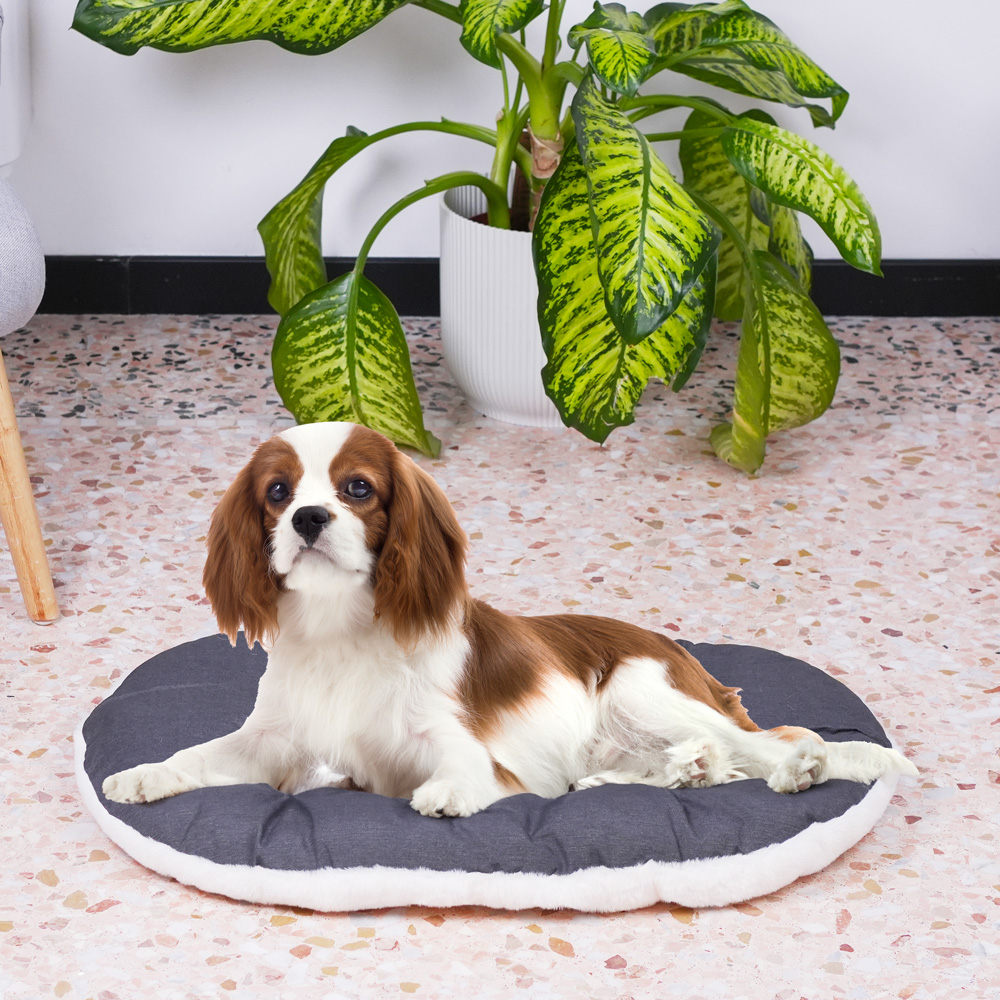 Ferplast panier chien chat - coussin pour chien chat - lavable en machine - tapis chien chat pour niches et voitures - lit pour
