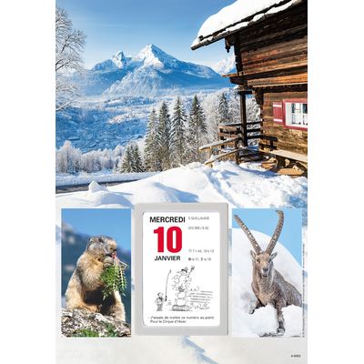 Oberthur - Plaque illustrée avec bloc éphéméride humoristique - 16 x 33 cm - disponible dans différents modèles