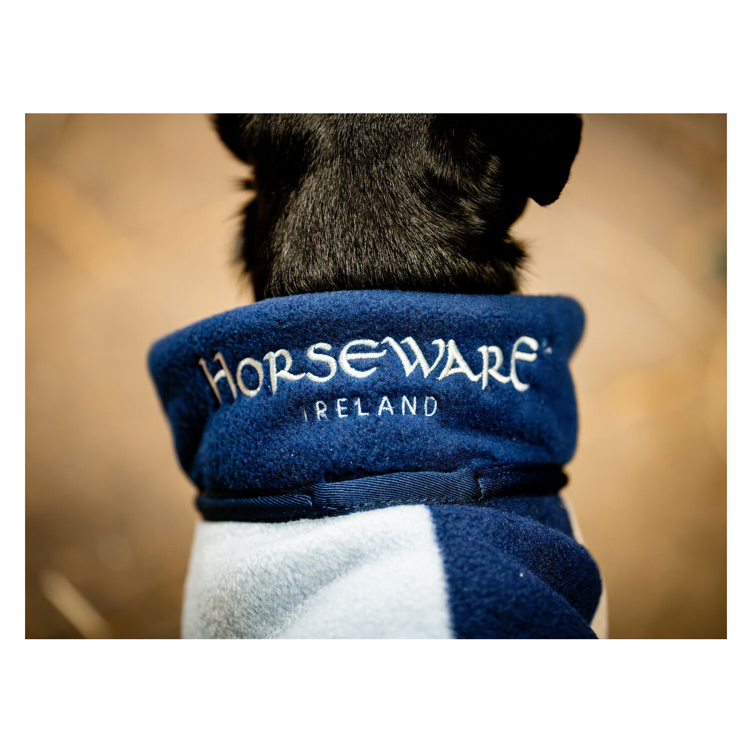 HORSEWARE Hundemantel Fleece  - whitney/navy