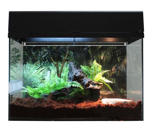 Lucky Reptile Terrarium Starter Kit