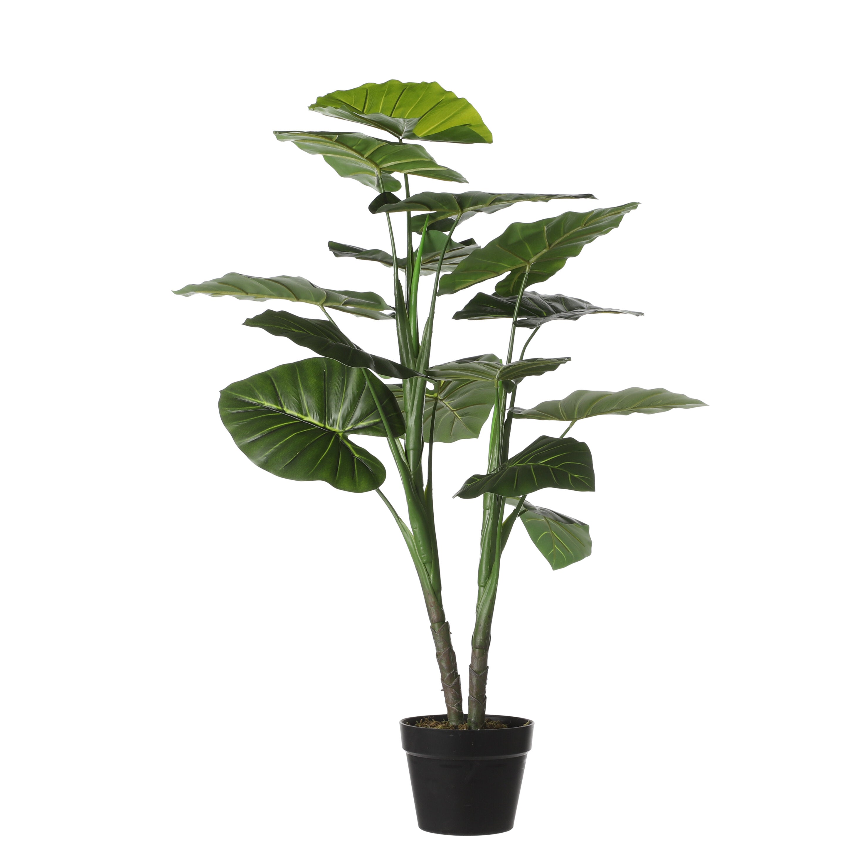 Mica Decorations Taro in pot groen - h100xd70cm