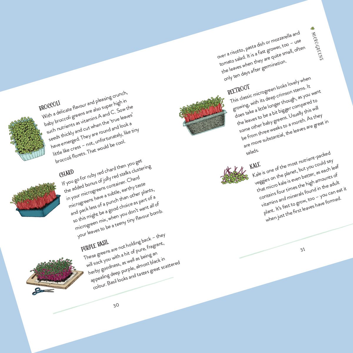 The Windowsill Gardener: 50 Easy-to-grow Plants to Transform Your Home (Hardback)
