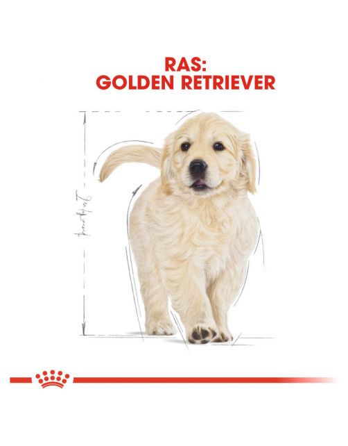 Royal Canin Golden Retriever - Puppy-Hondenvoer