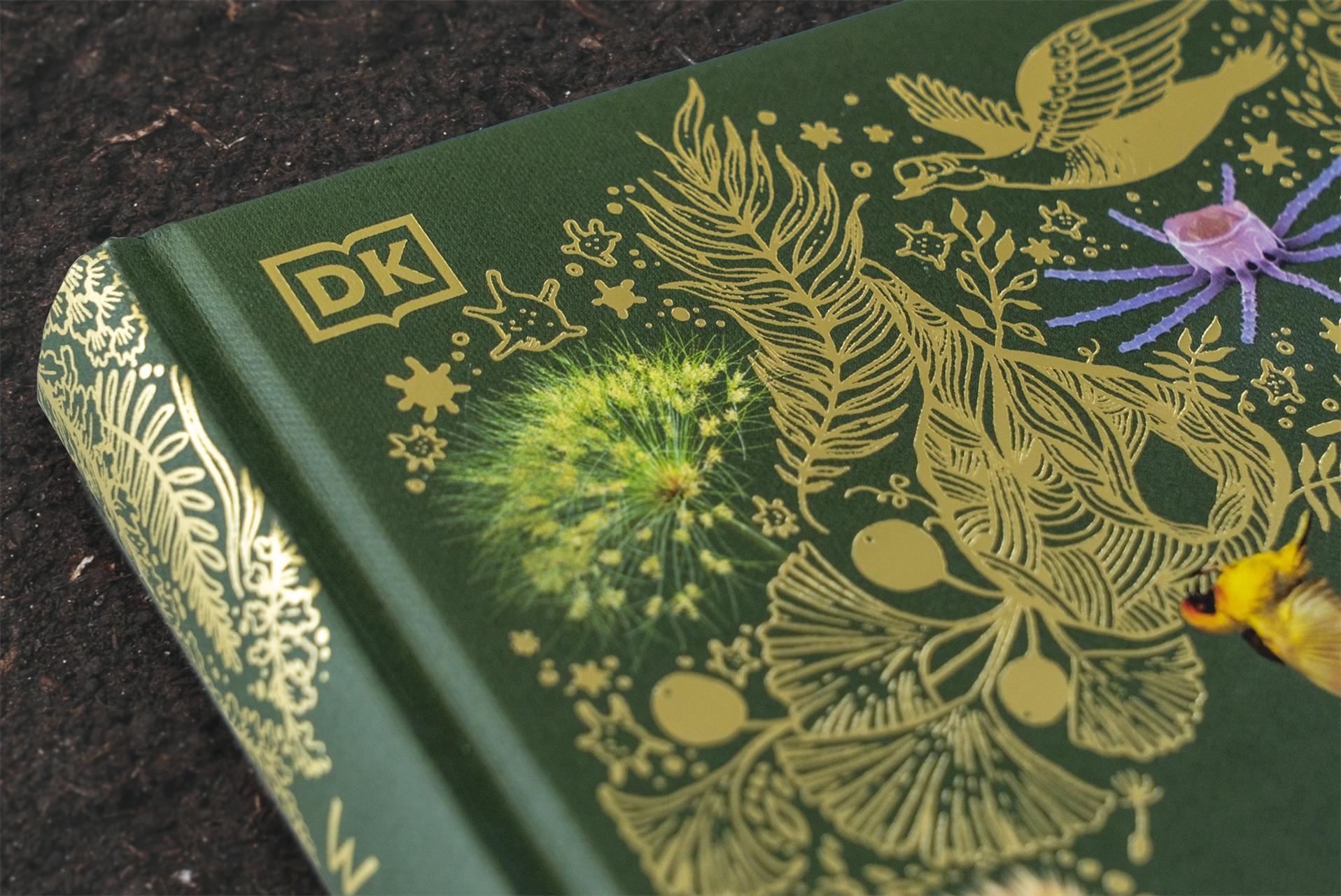 Wundervolle Welt der Natur / Wundervolle Welt Bd.2