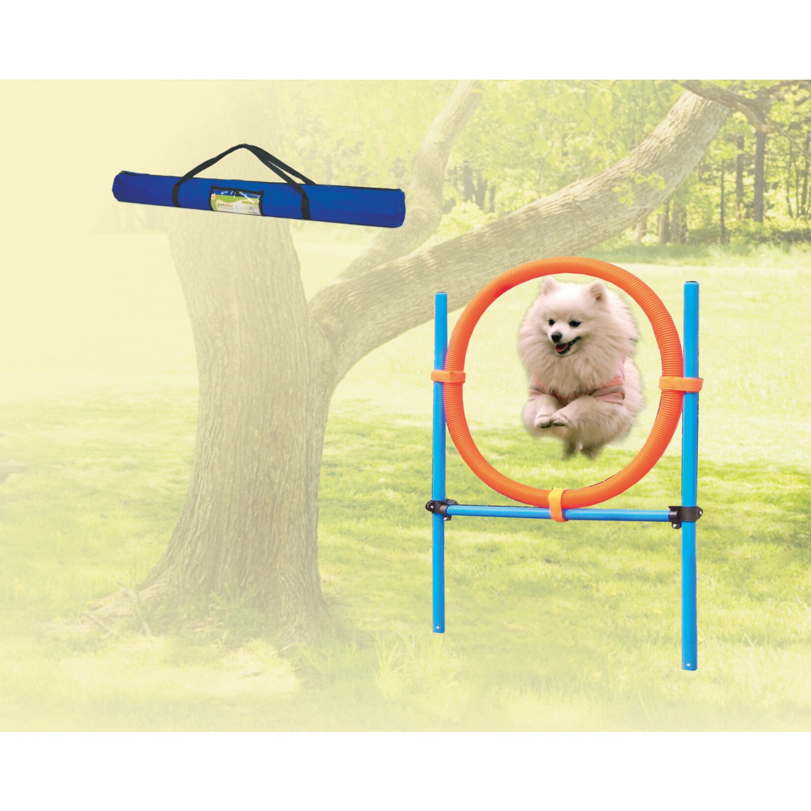 Dog - Agility - Ring