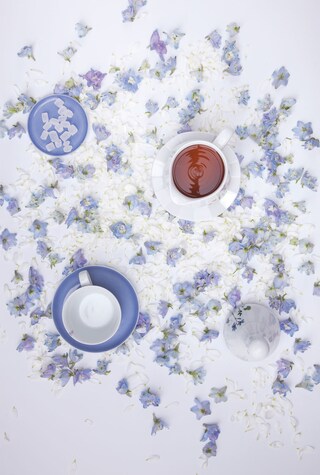 KAHLA Mini-Schüssel FIVE SENSES Wildblume 2er Set blau/weiß