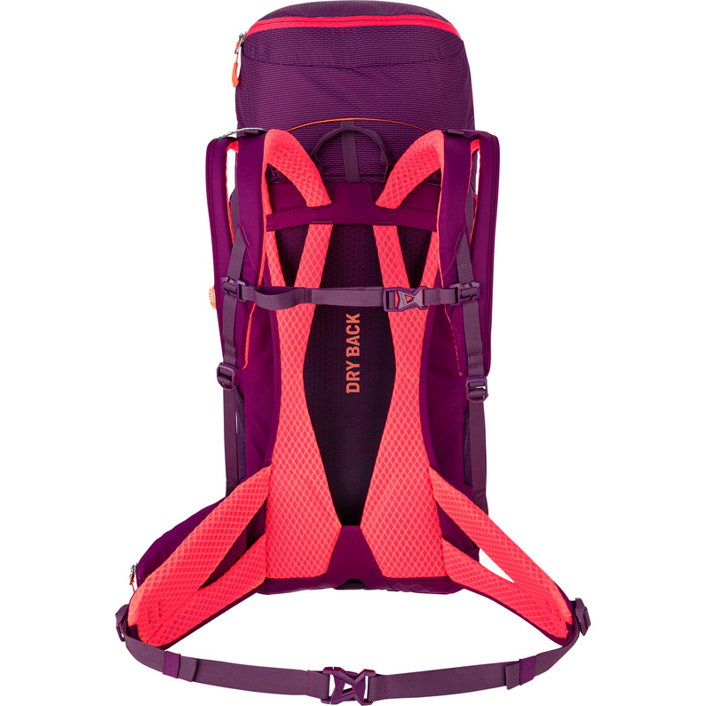 Salewa Alp Trainer 30+3 Rucksack