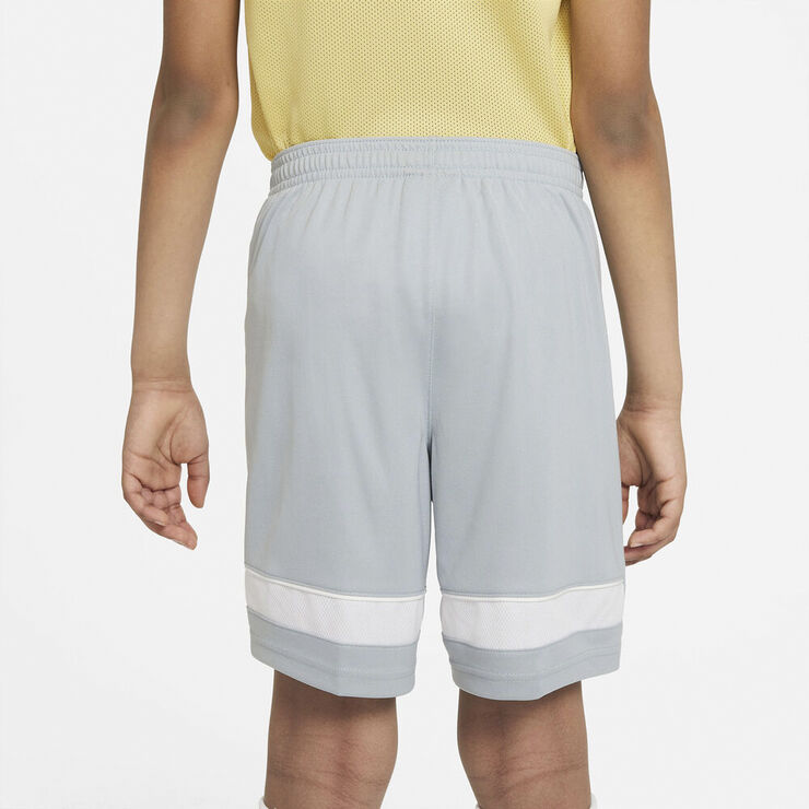 Nike Dri Fit Academy Traeningsshorts Grå
