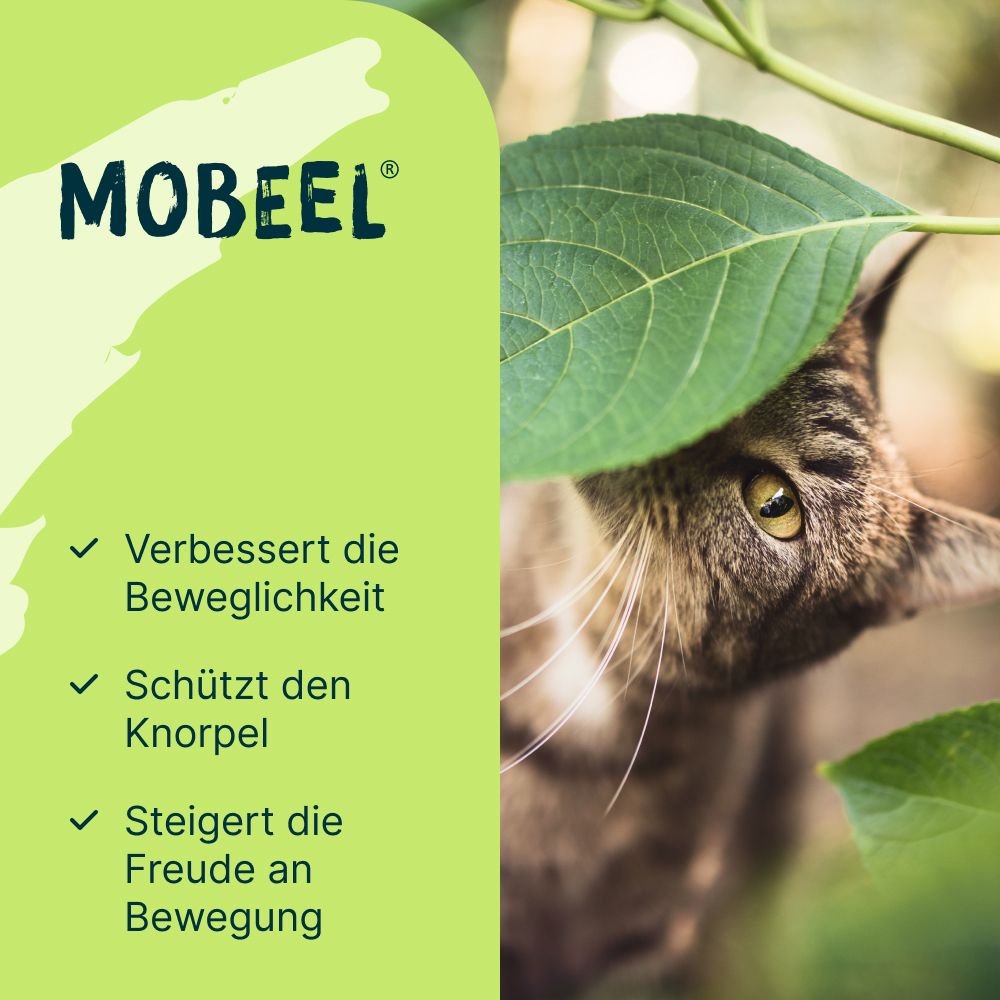 MOBEEL®