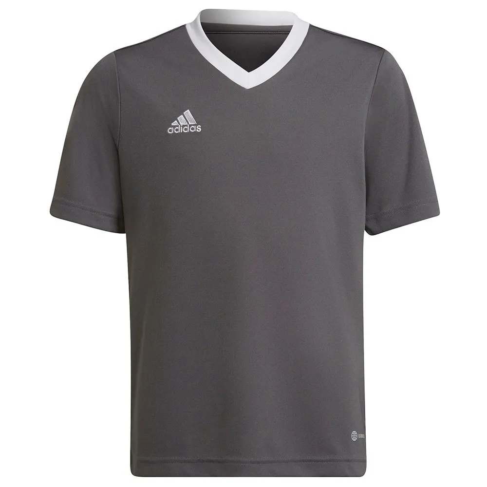 Camiseta de manga curta adidas Entrada 22