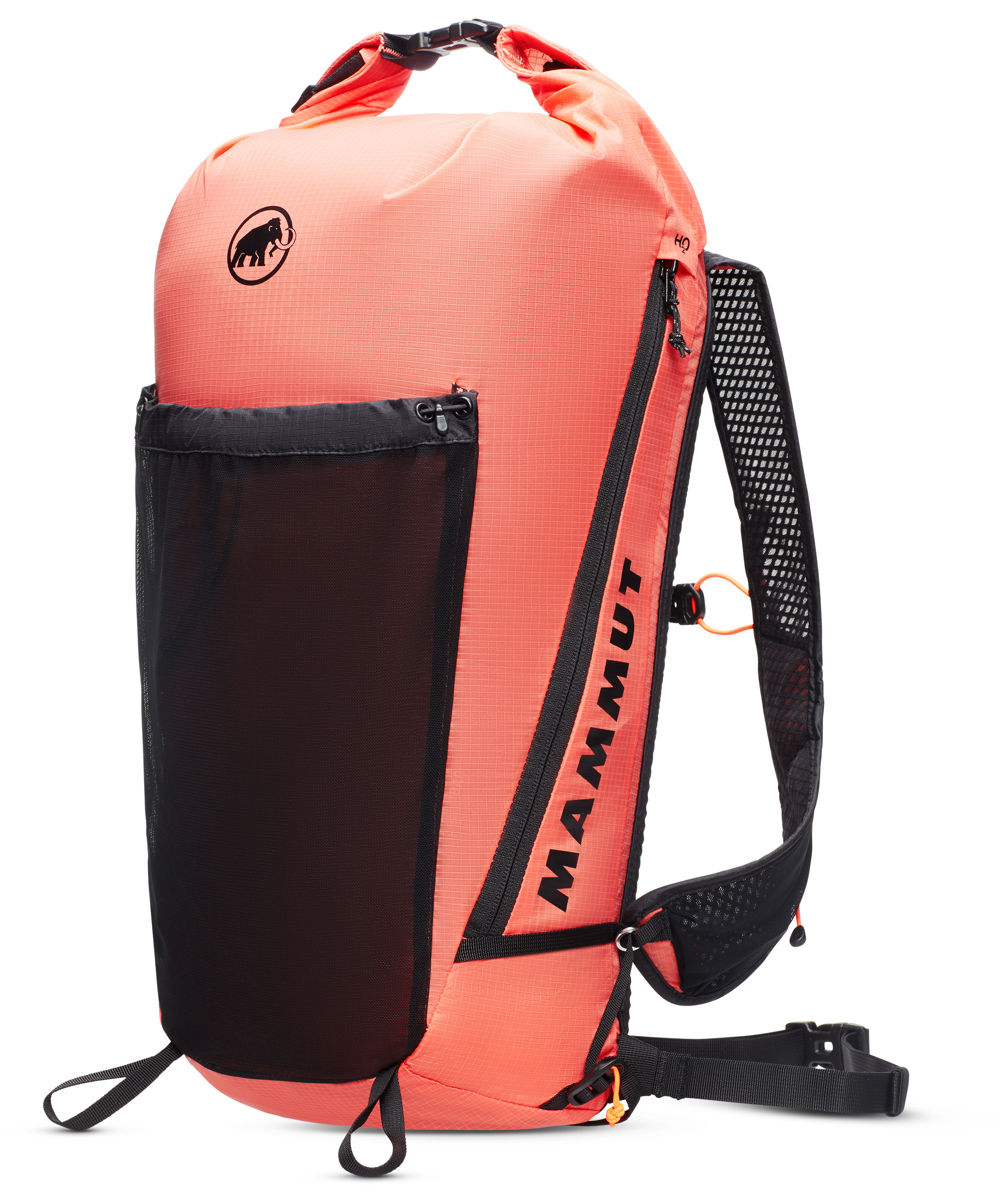 Aenergy 18 Salmon