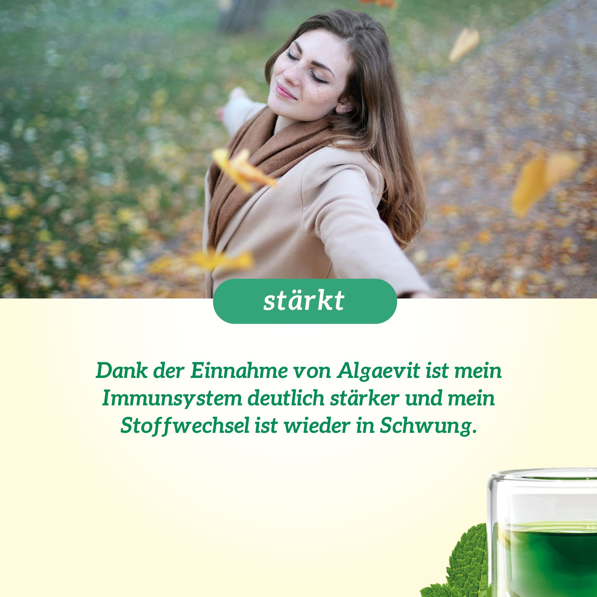 Algaevit Chlorella Algen-Tonikum