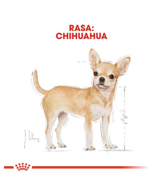 Royal Canin Chihuahua Adult - Hondenvoer