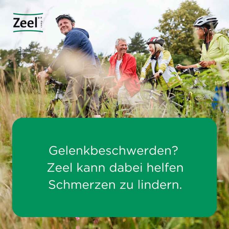 Zeel comp.N Tabletten, 250 St