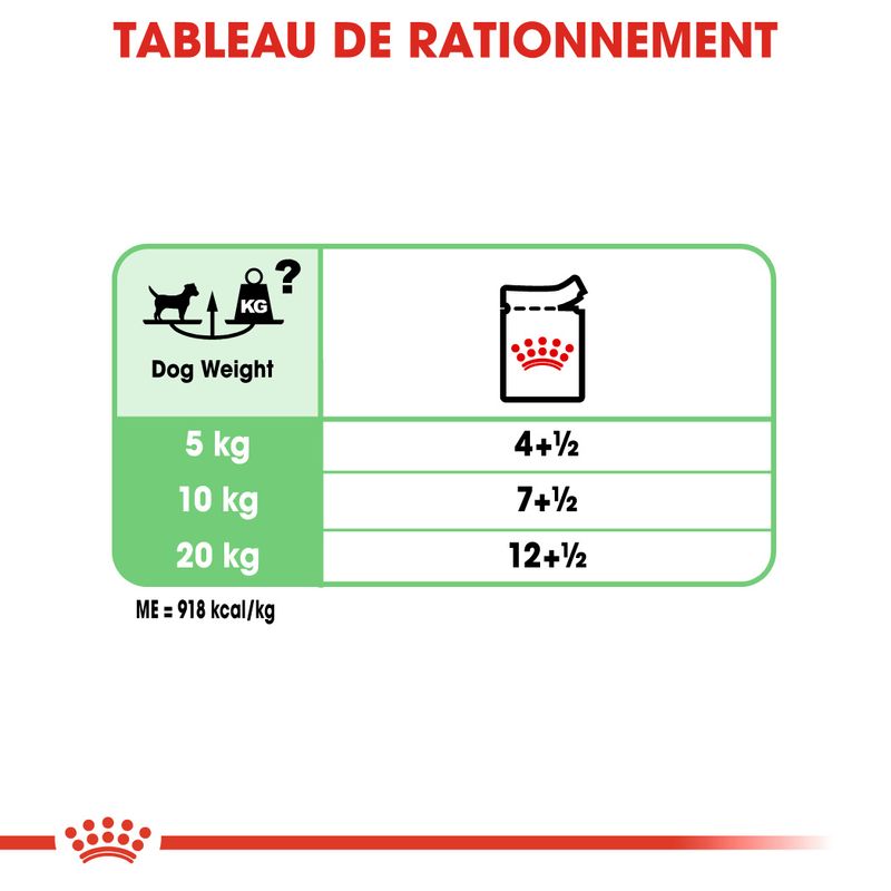 Royal Canin Digestive Care en mousse