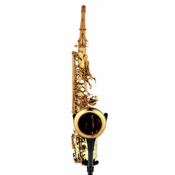 Forestone Alto Sax RX Gold Lacquered