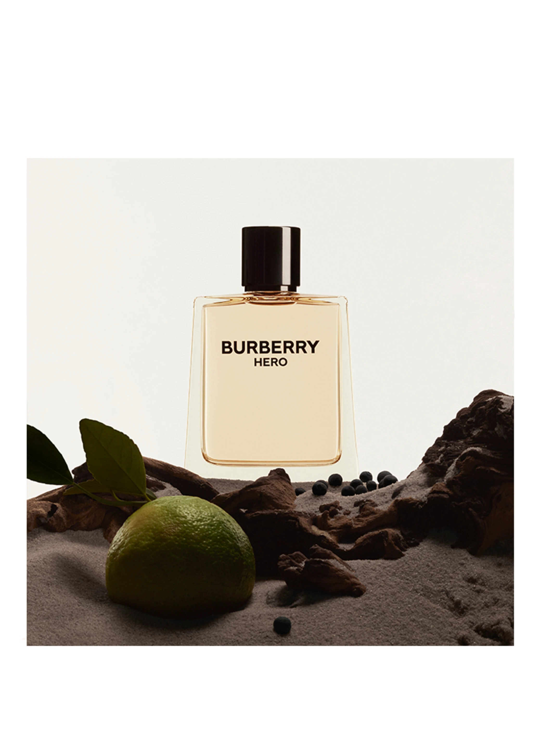 BURBERRY BEAUTY HERO