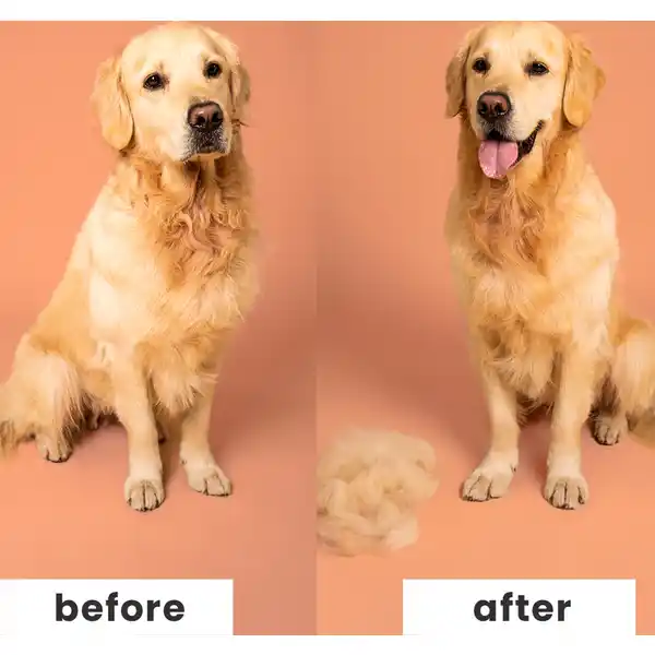 Pet Teezer, Enthaarbürste für jeden Hund- und Felltyp
