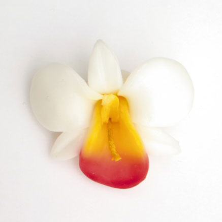 Schwimmkerze 'Orchidee', weiß, multicolor, Ø 8 cm von fischer's lagerhaus