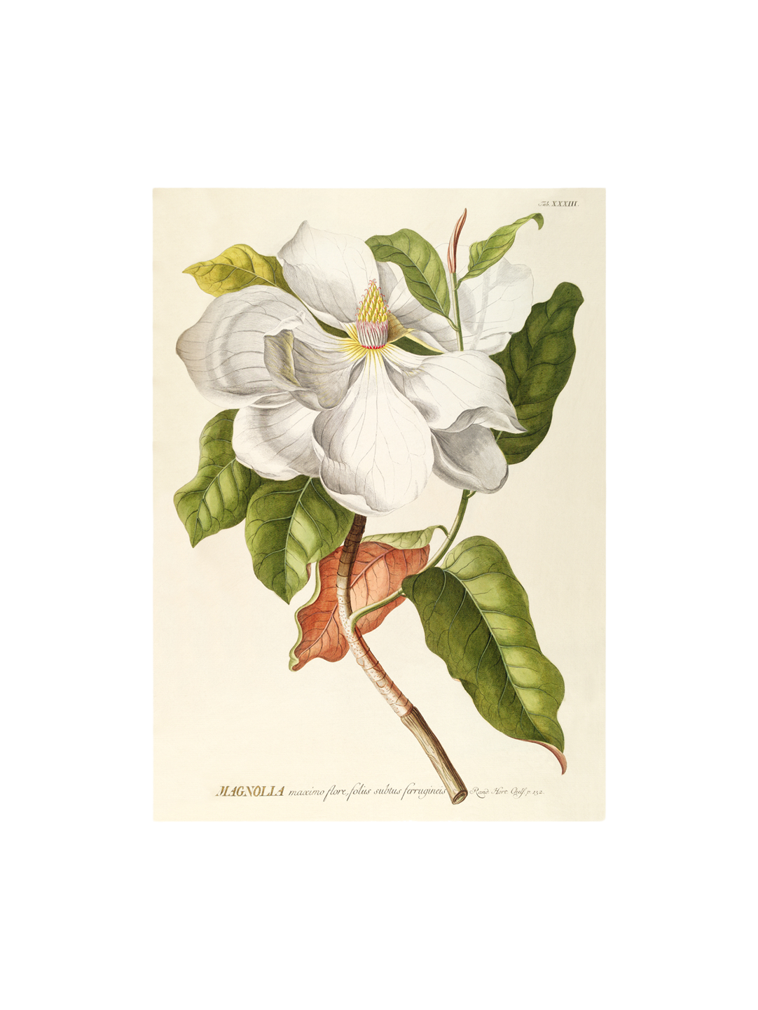 Plakat 50 x 70 | Papir. | Multi | The Dybdahl Co.