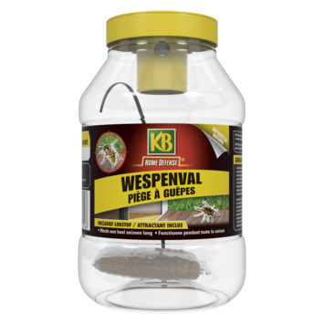 HOME DEFENSE® wespenval met lokstof 1 stuk