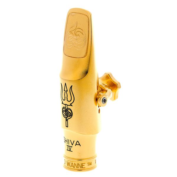 Theo Wanne Shiva IV Alto 8 Gold