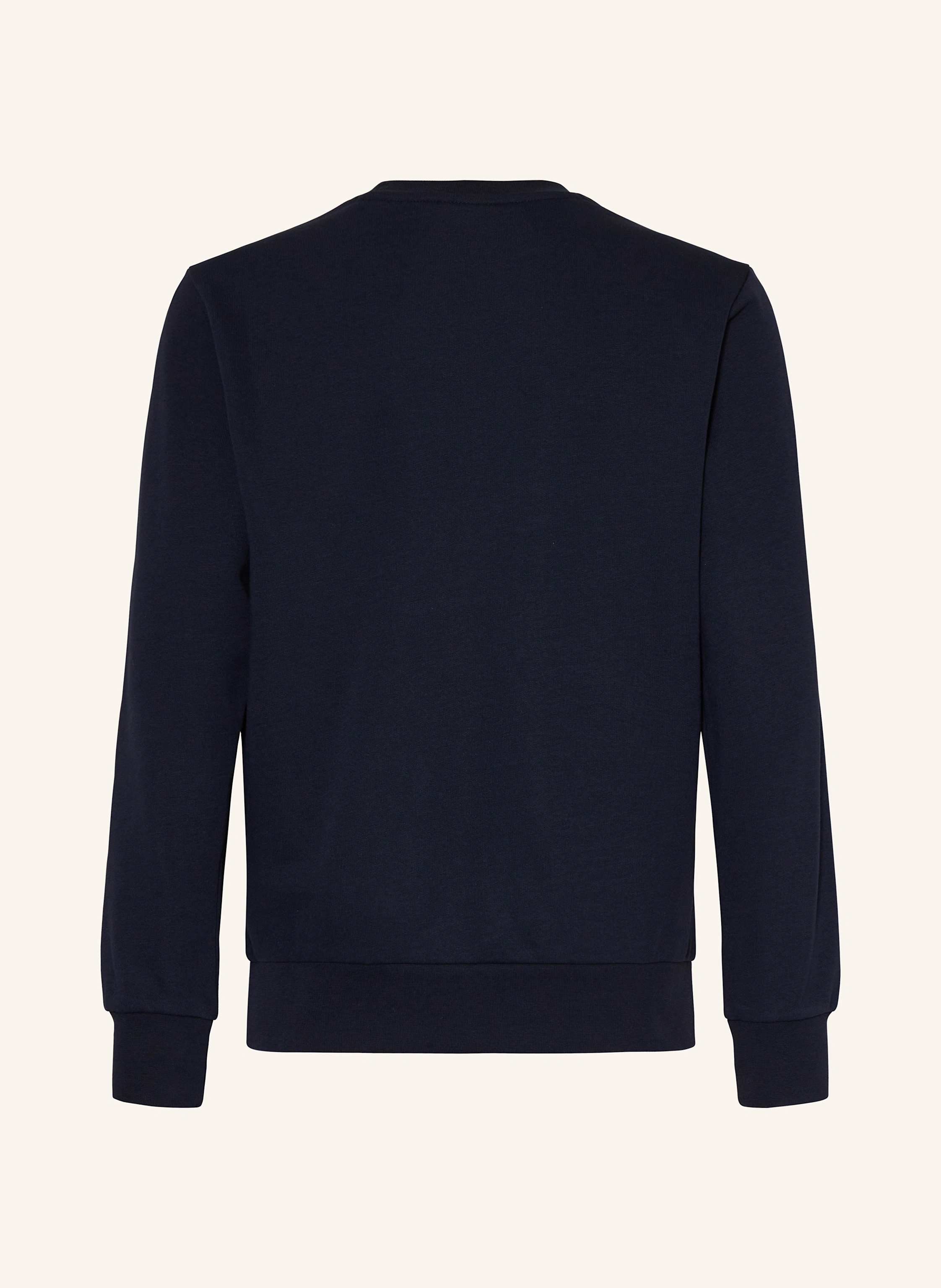 Champion Sweatshirt