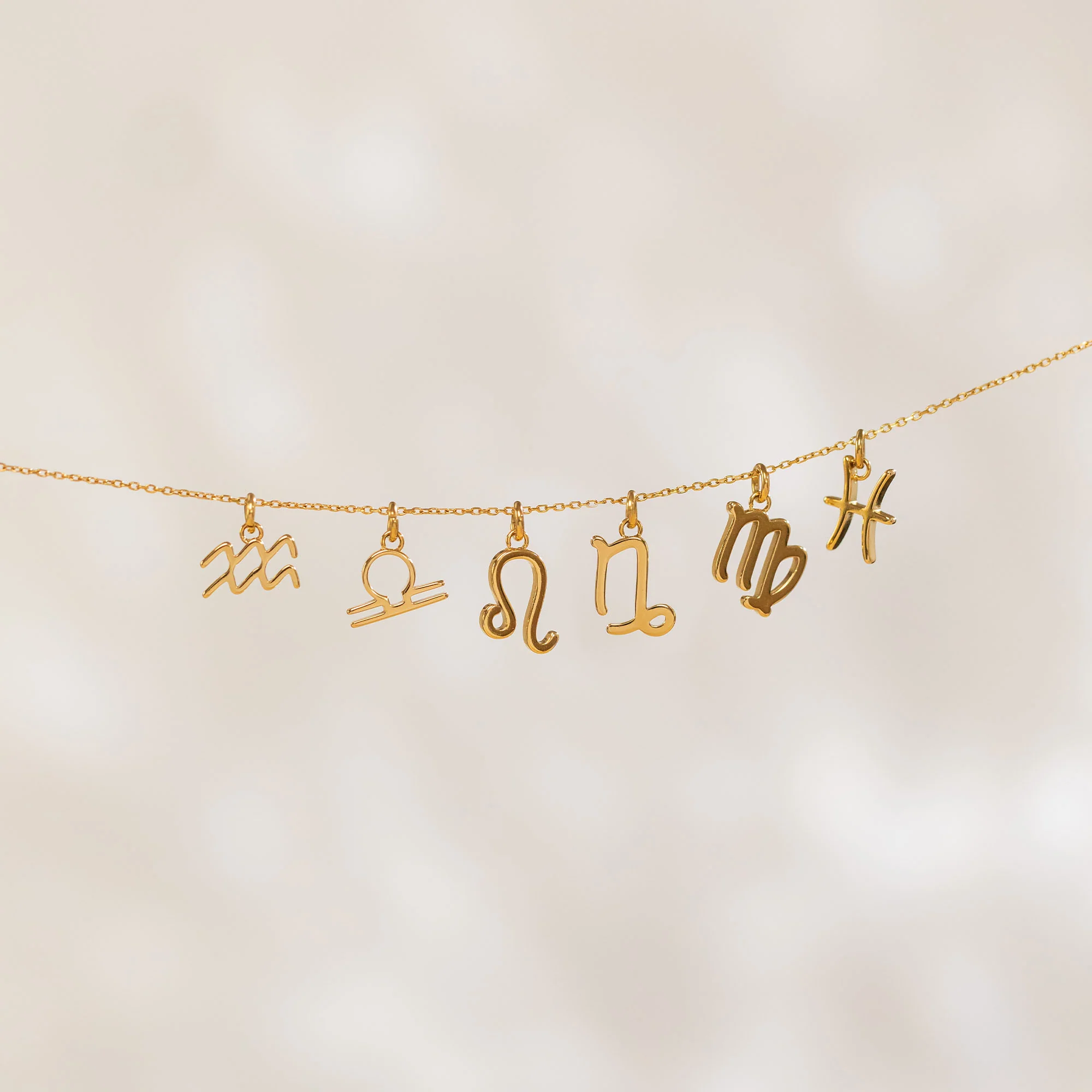 Steinbock Zodiac Charm - PURELEI