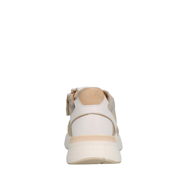 Gattino G1255 Platins
