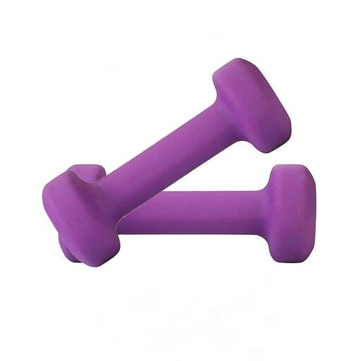 Conjunto de 2 halteres de vinil da Fitness Tech