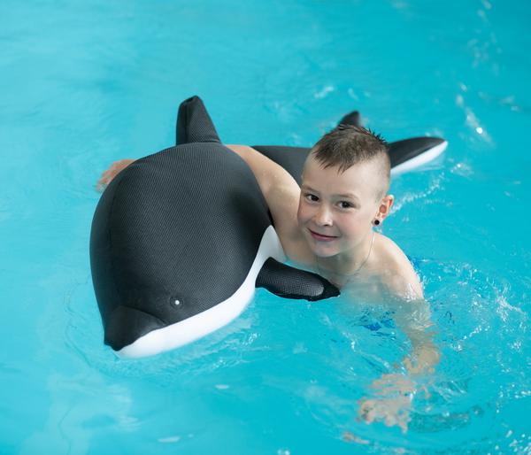 Westmann Pool-Buddy Delfin