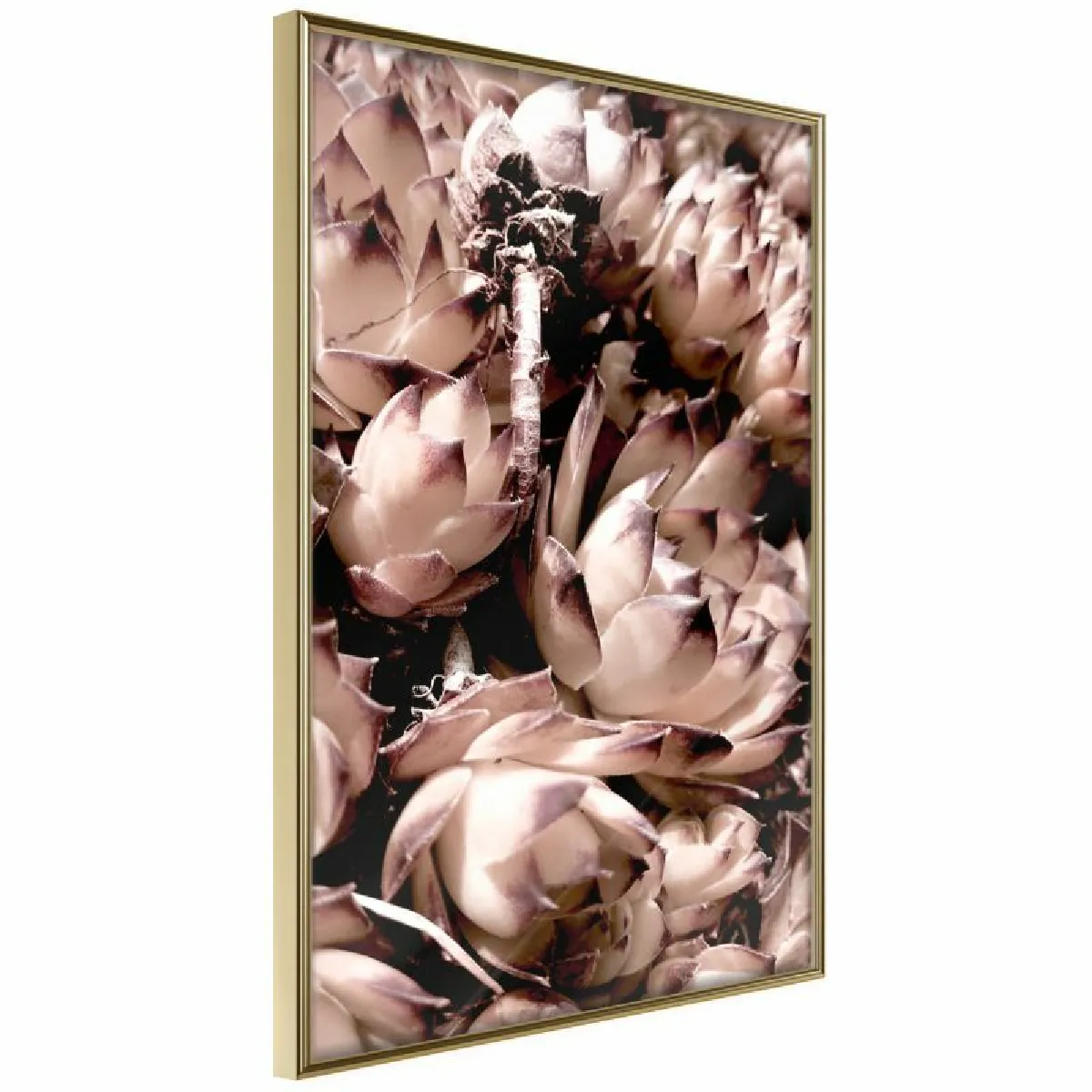 Paris Prix Affiche Encadrée Autumnal Flowers 30x45 cm Or