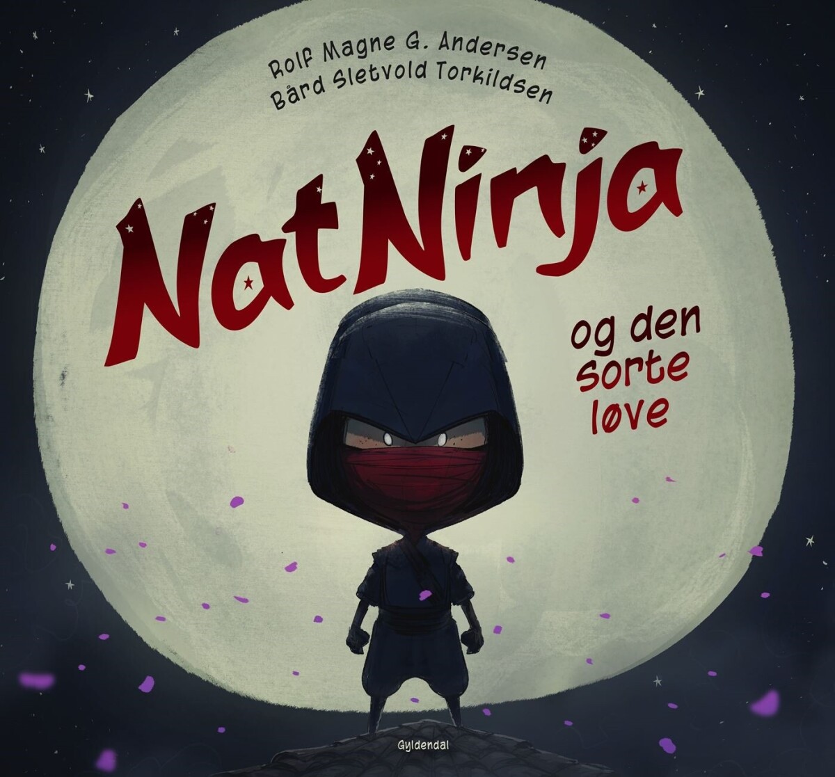 Natninja - Rolf Magne G. Andersen - Bog