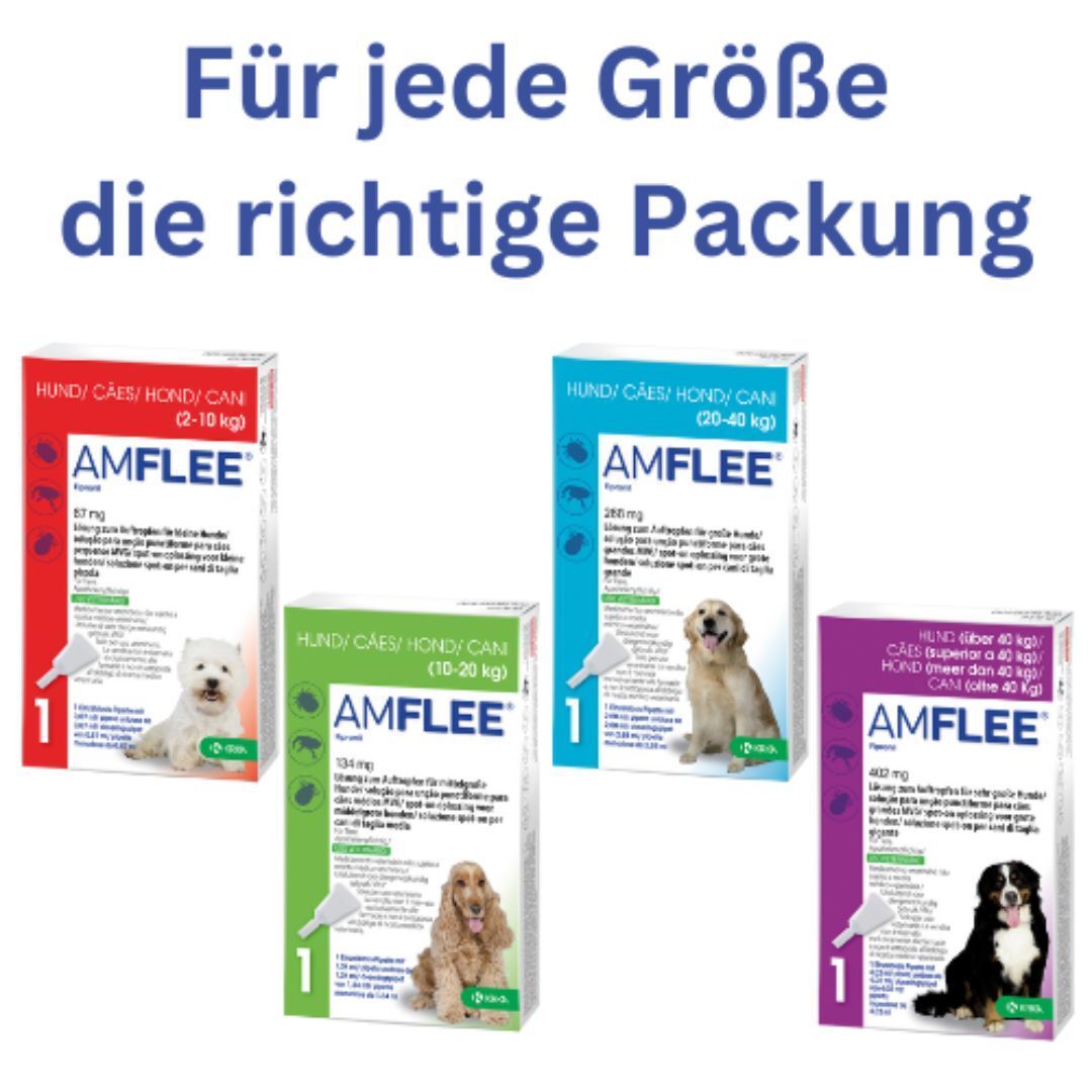 Amflee® 67 mg für kleine Hunde