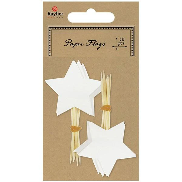 10 piques étoile - blanc Rayher
