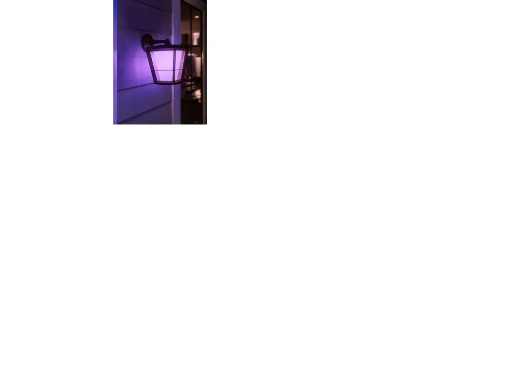Philips Hue White Color Ambiance Econic Udendørs Væglampe - Down