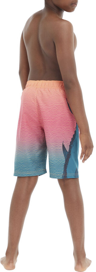 Firefly Naro III badeshorts Multifarvet