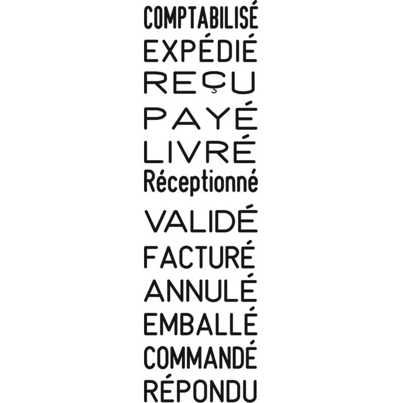 Tampon dateur 12 formules Professional Line 5117 Trodat