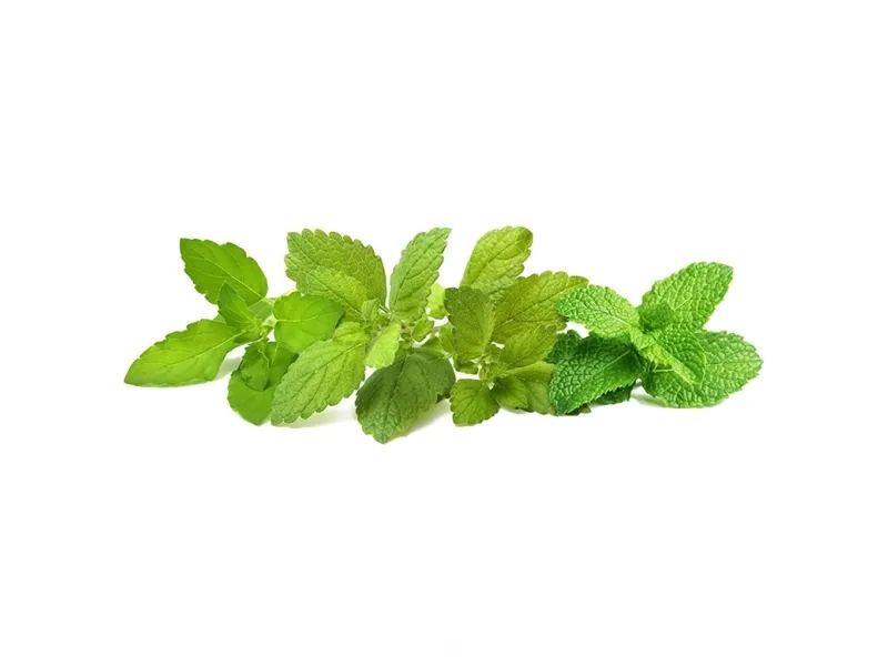 Click and Grow Smart Garden Refill 9-pack Calming Tea Mix - Fresh organic tea herbs pesticide free