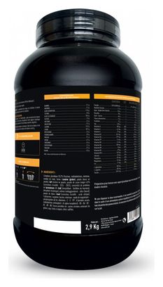 EAFIT Gainer Max Double Chocolat 2.9 kg