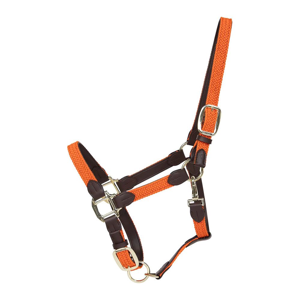 Kentucky NYLON TRESSÉ - Licol orange