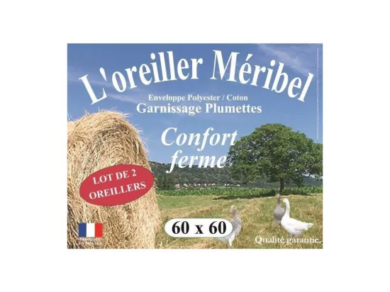 Lot De 2 Oreillers Plumes 60 X 60 Cm 