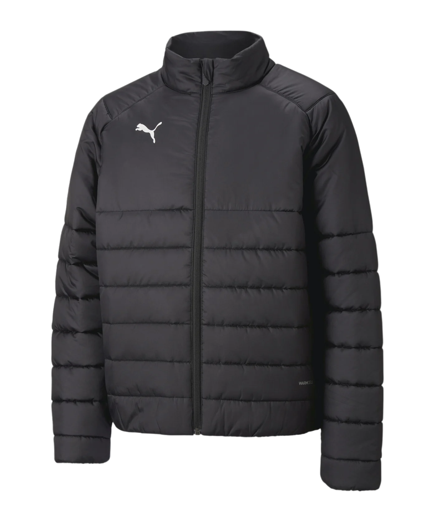 PUMA teamLIGA Padded Trainingsjacke Kids F03
