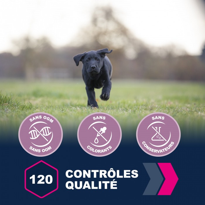 Eukanuba Growing Puppy Large Giant Breed - Poulet