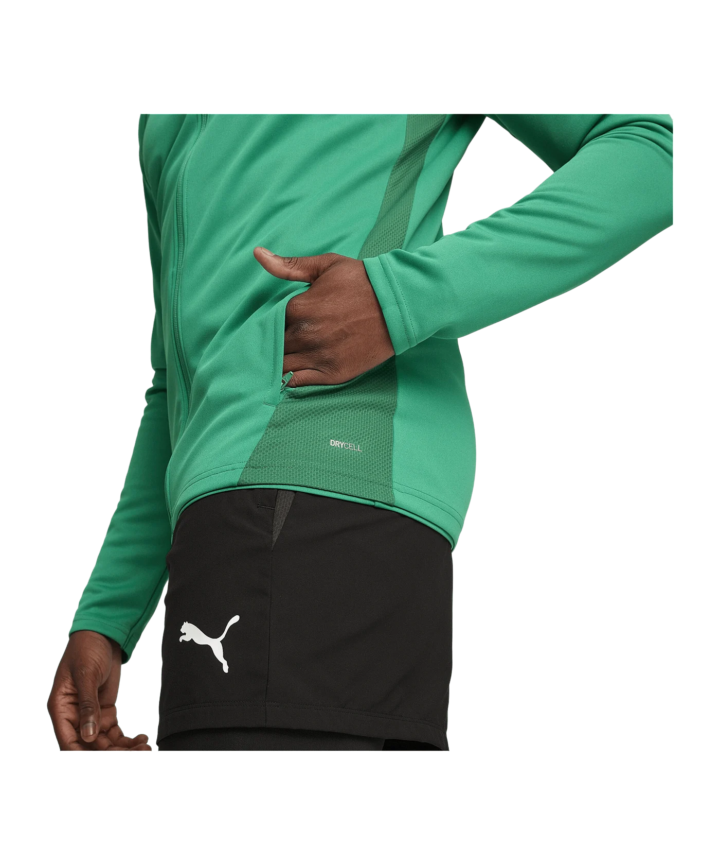 PUMA teamGOAL Trainingsjacke Grün F05